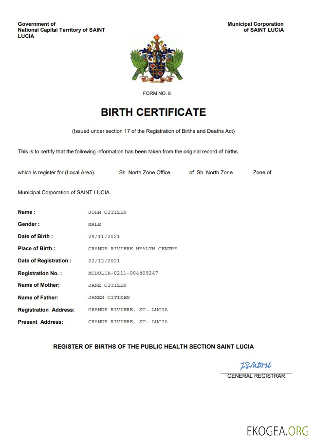 Modèle Word et PDF d'acte de naissance de Sainte Lucie